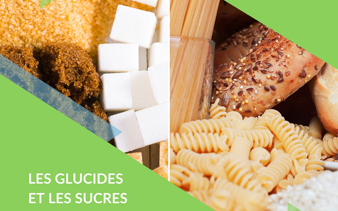 Nutrition: les glucides et les sucres