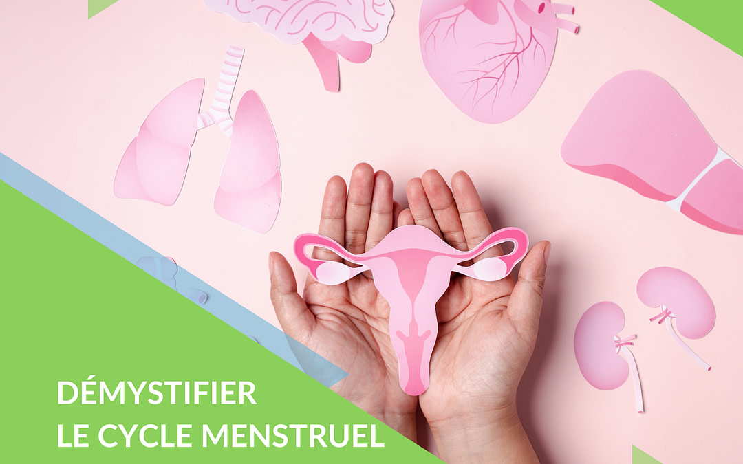 Démystifier le cycle menstruel