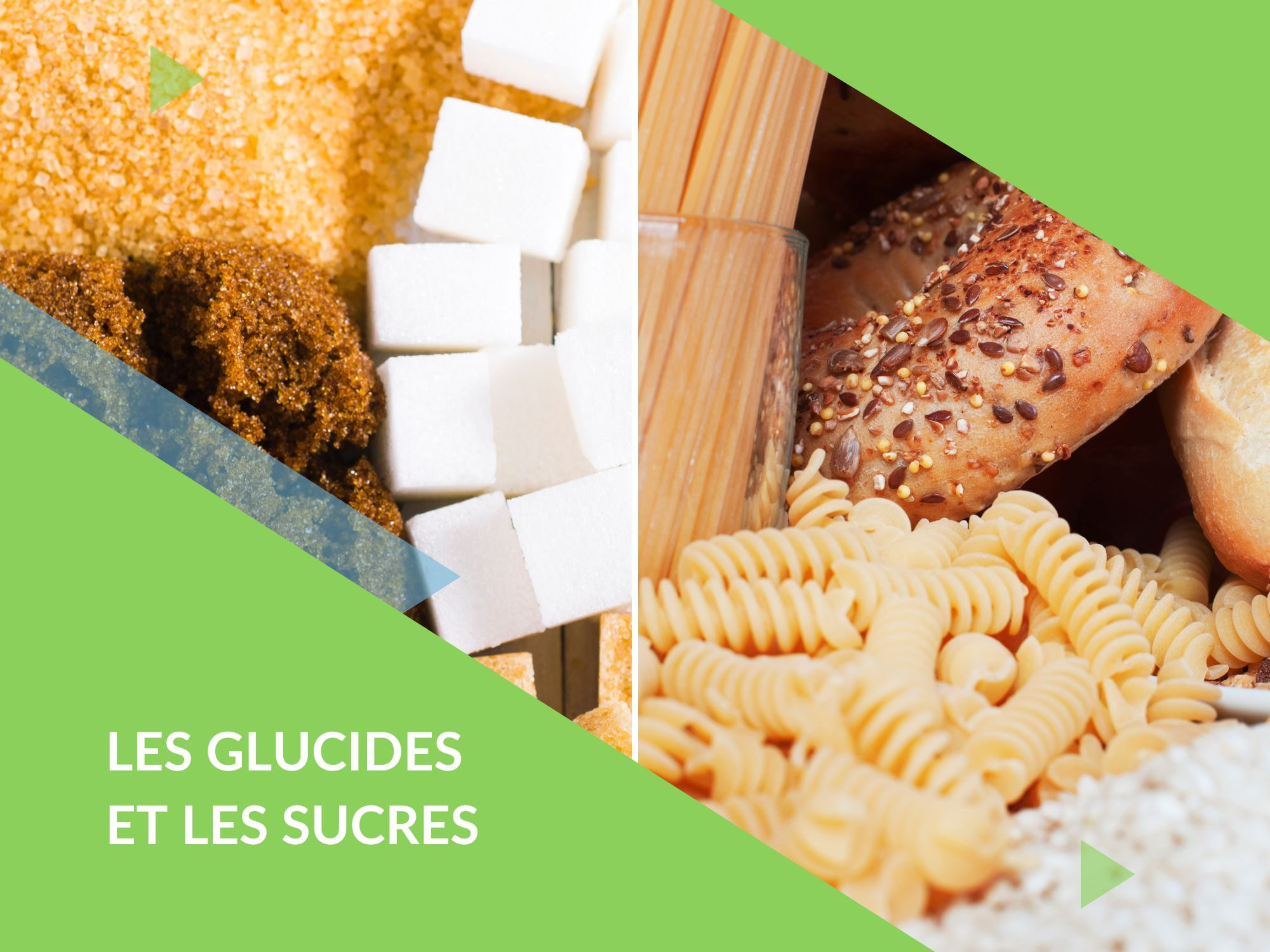 Nutrition les glucides et les sucres