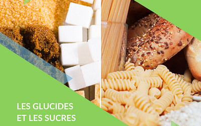 Nutrition: les glucides et les sucres