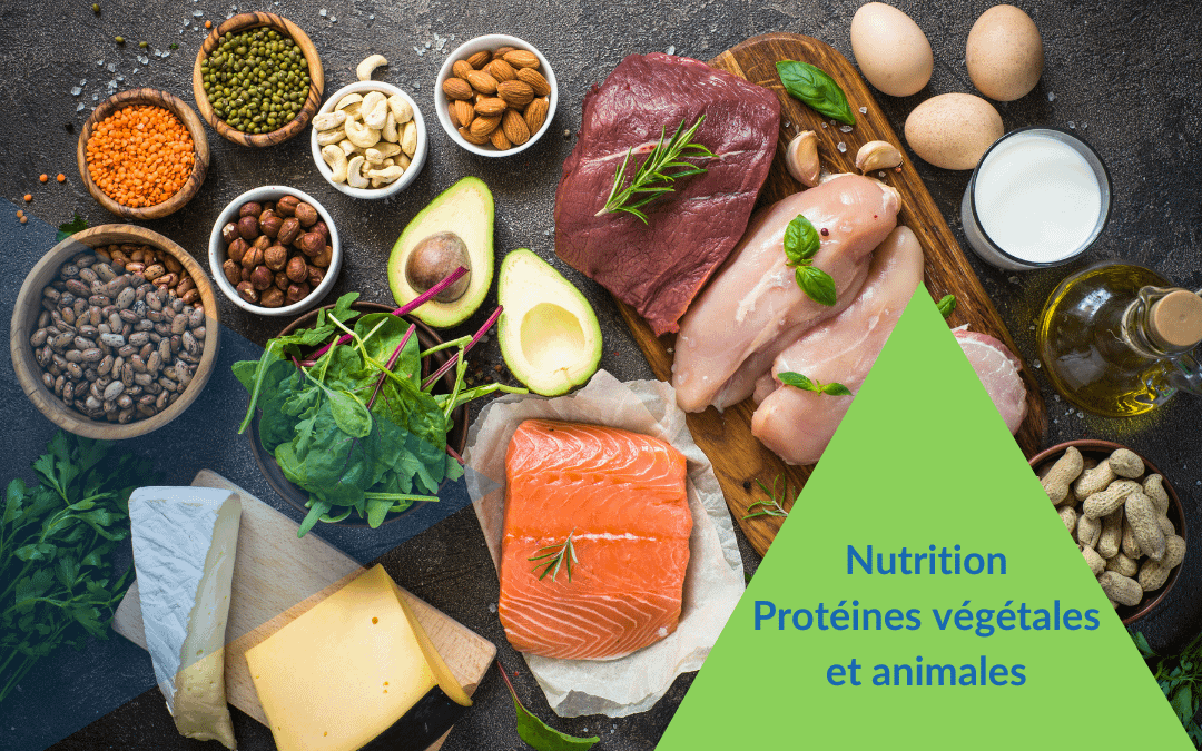 Nutrition: protéines végétales ou animales ?